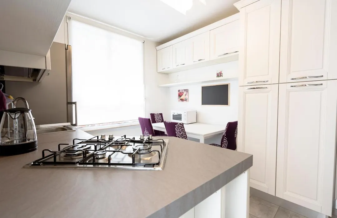 Appia Purple Terrace Apartment In Rome-1